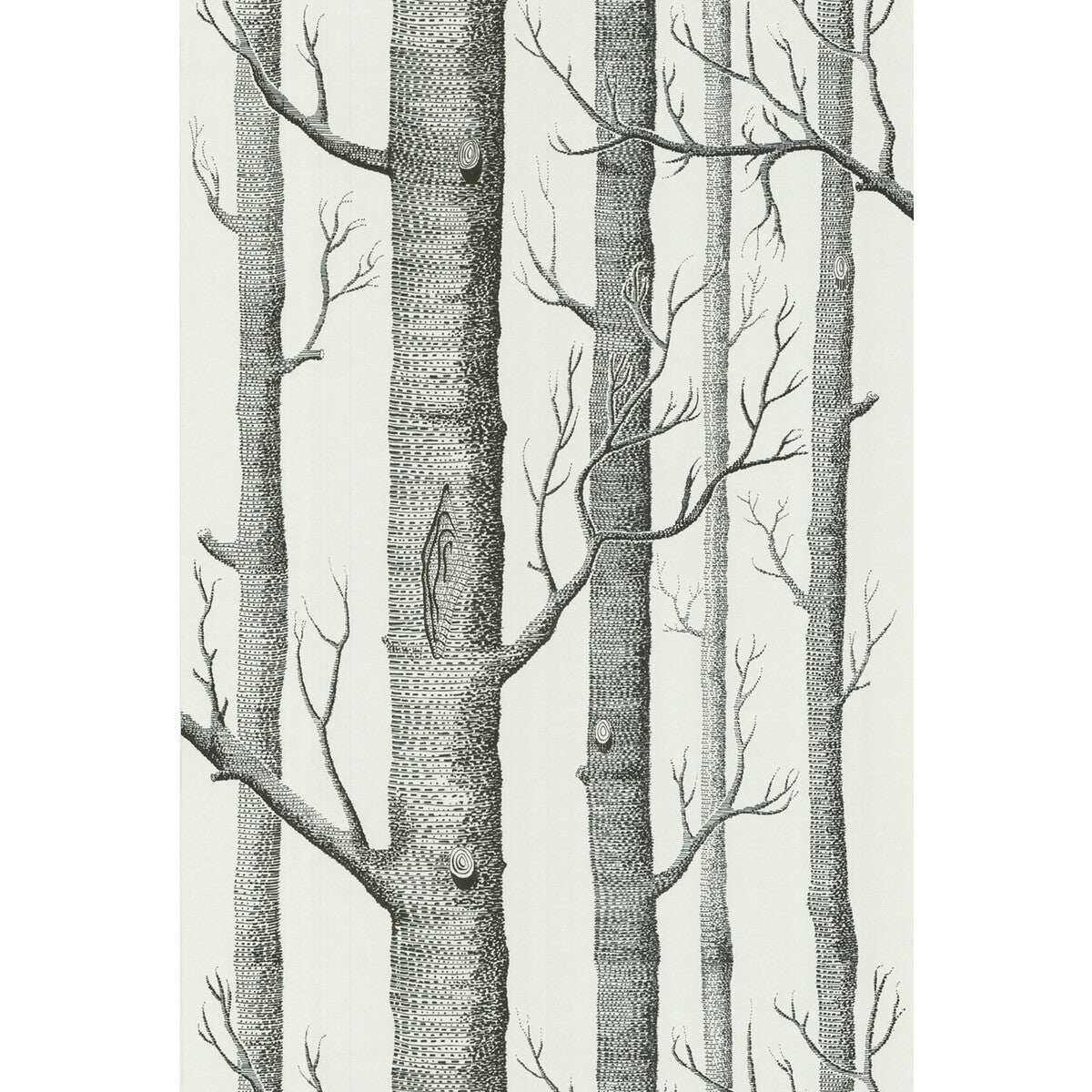 6912147cs0-woods-onyxwhite-cole-son - COLE & SON Wallpaper