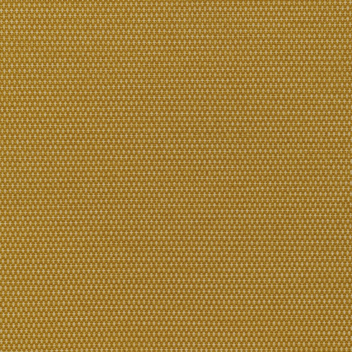 3625640-mobilize-midas-kravet-contract