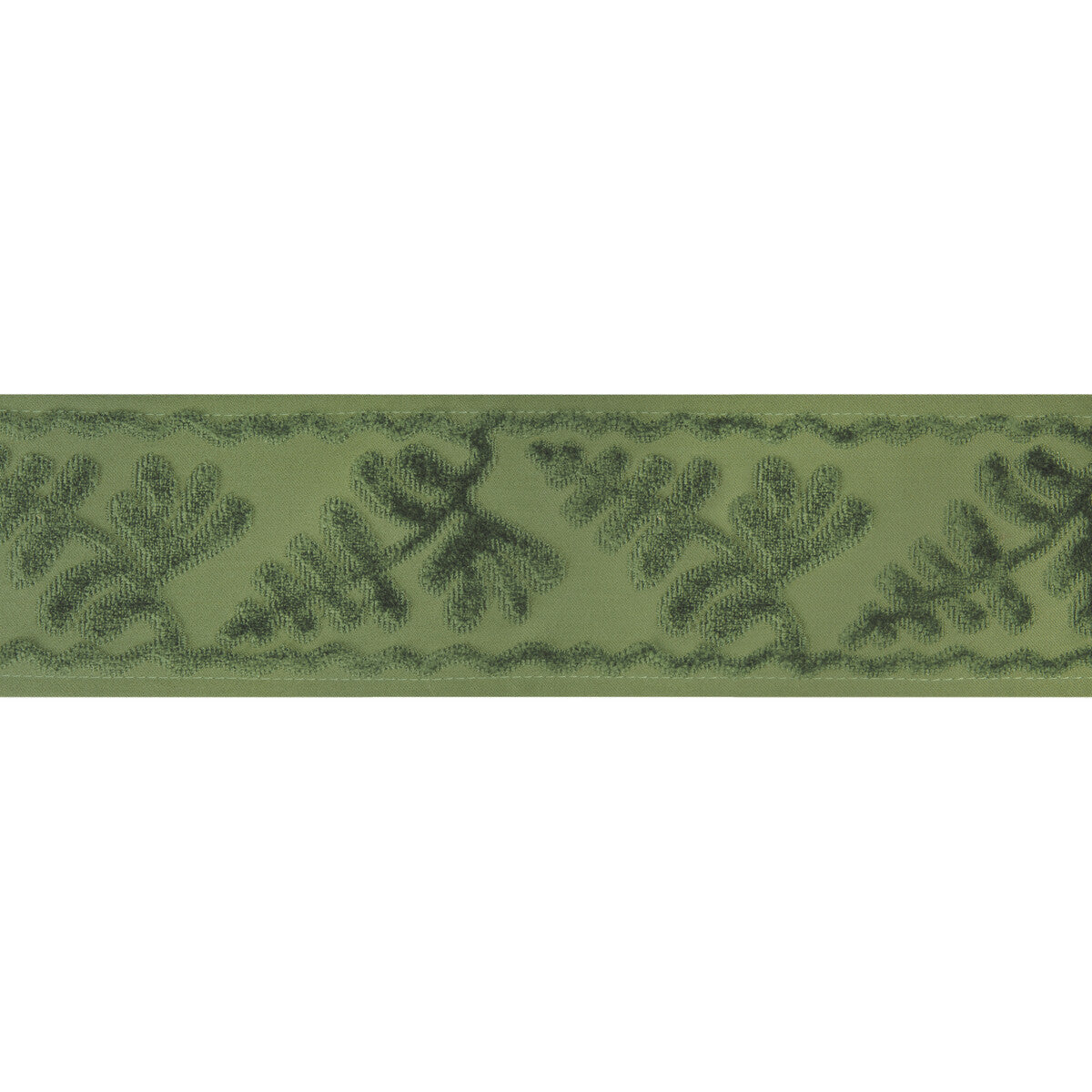 t8024101300-cassis-tape-sage-brunschwig-fils - BRUNSCHWIG & FILS Trim