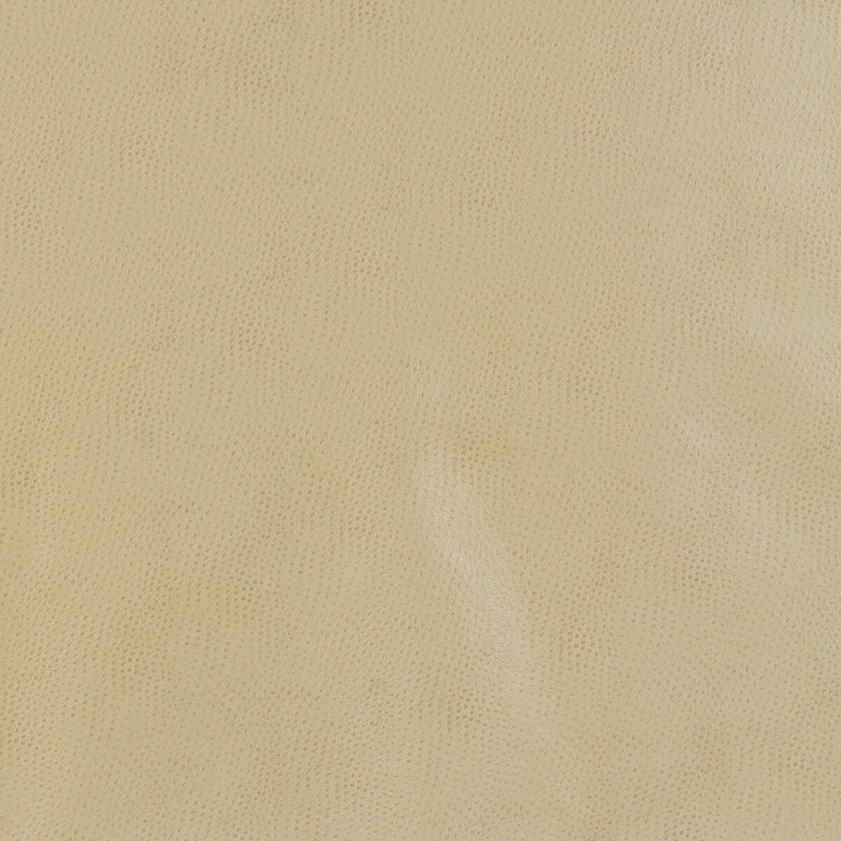 delaney160-kravet-design-delaney-16-kravet-design - KRAVET DESIGN Fabric