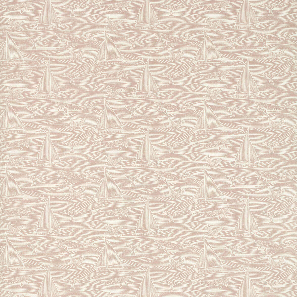 f172601cac0-fin-blush-clarke-and-clarke