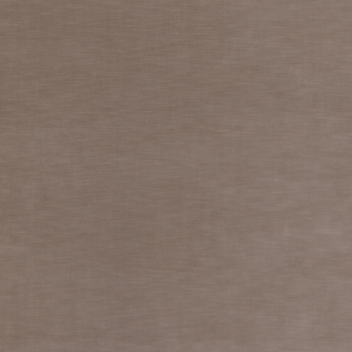 ed853592400-quintessential-velvet-mole-threads - THREADS Fabric