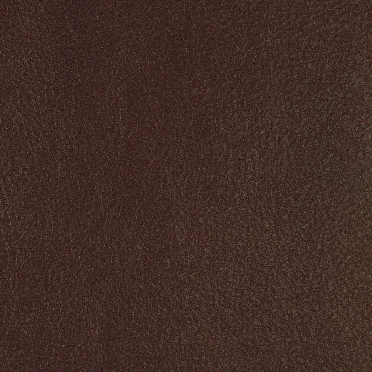 l-cannonhickory0-kravet-design-l-cannon-hickory-kravet-design
