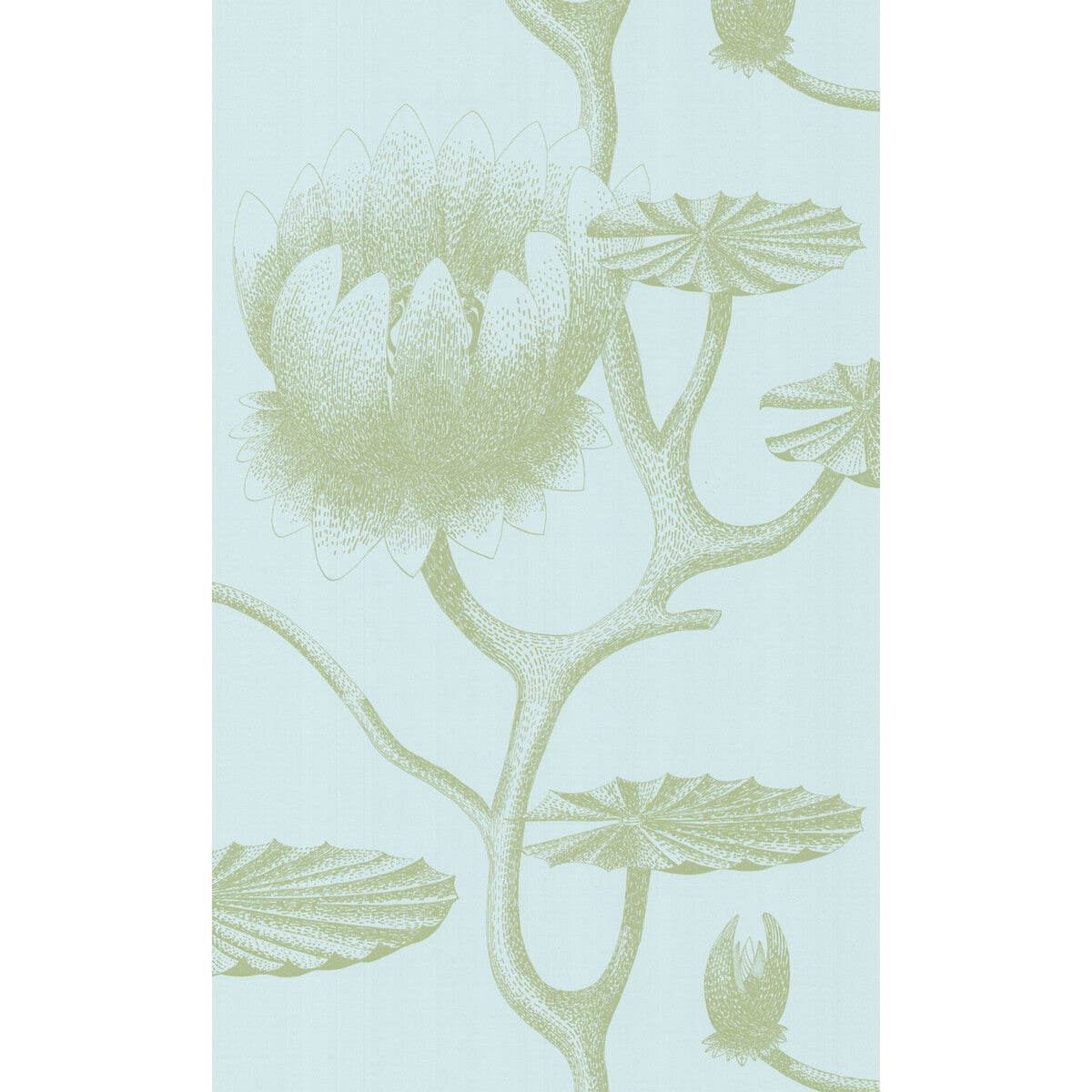693112cs0-lily-sagepale-blue-cole-son - COLE & SON Wallpaper