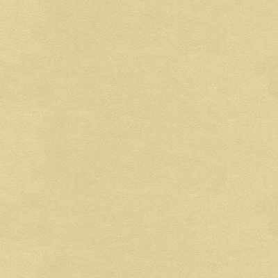 ultrasuede14160-ultrasuede-cream-kravet-design - KRAVET DESIGN Fabric