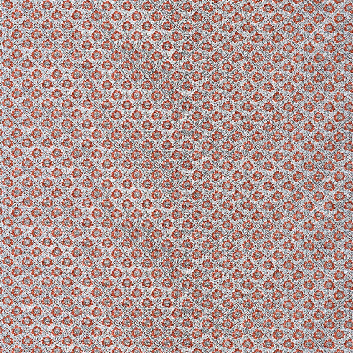 lct11490030-espinela-naranja-gaston-y-daniela