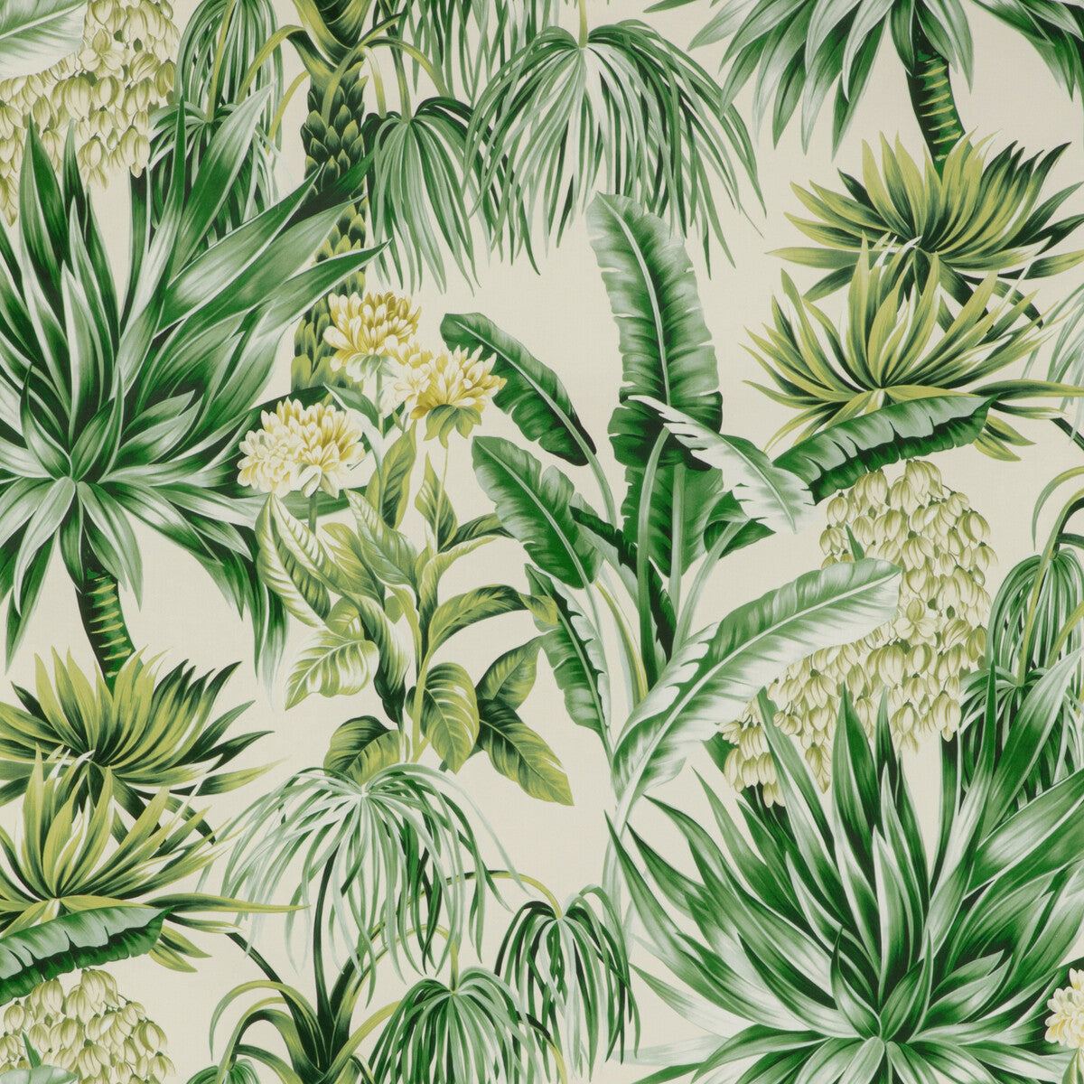 202019630340-caluya-print-palm-lee-jofa