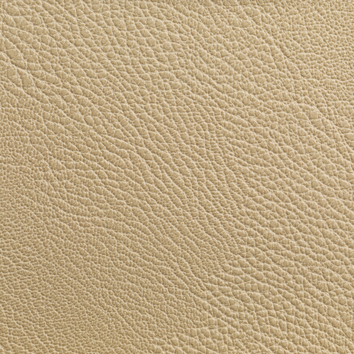 rustler1160-rustler-wheat-kravet-contract
