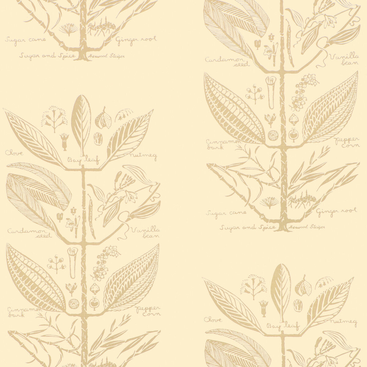 w4263160-sugar-and-spice-wp-sand-kravet-couture - KRAVET COUTURE Wallpaper