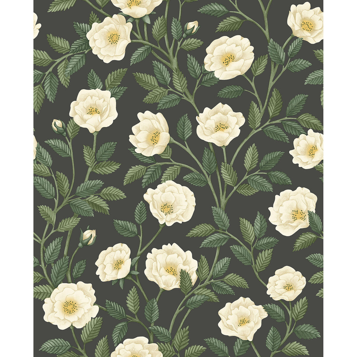 1187016cs0-hampton-roses-crmfgrnch-cole-son - COLE & SON Wallpaper