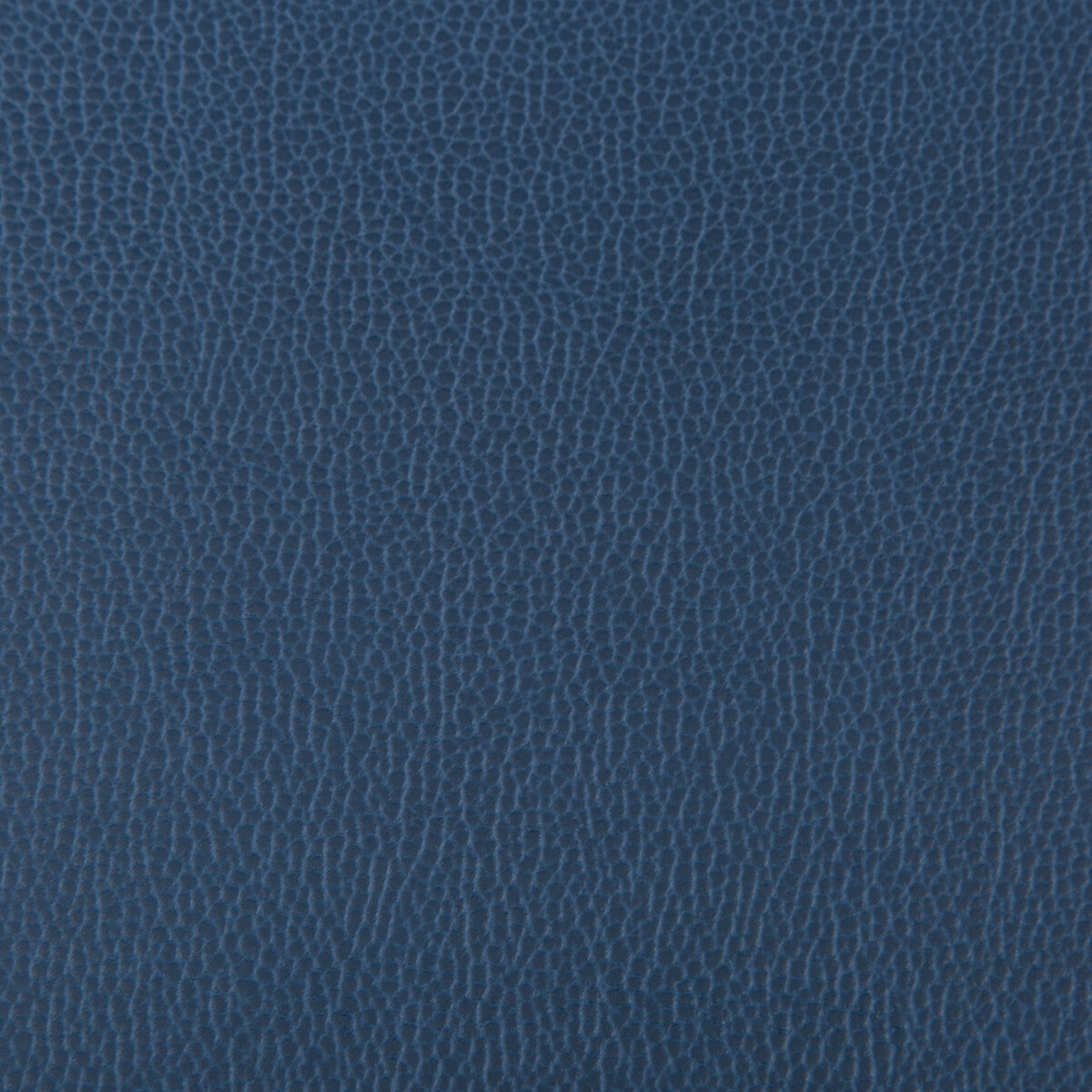 lenox500-lenox-blueberry-kravet-contract