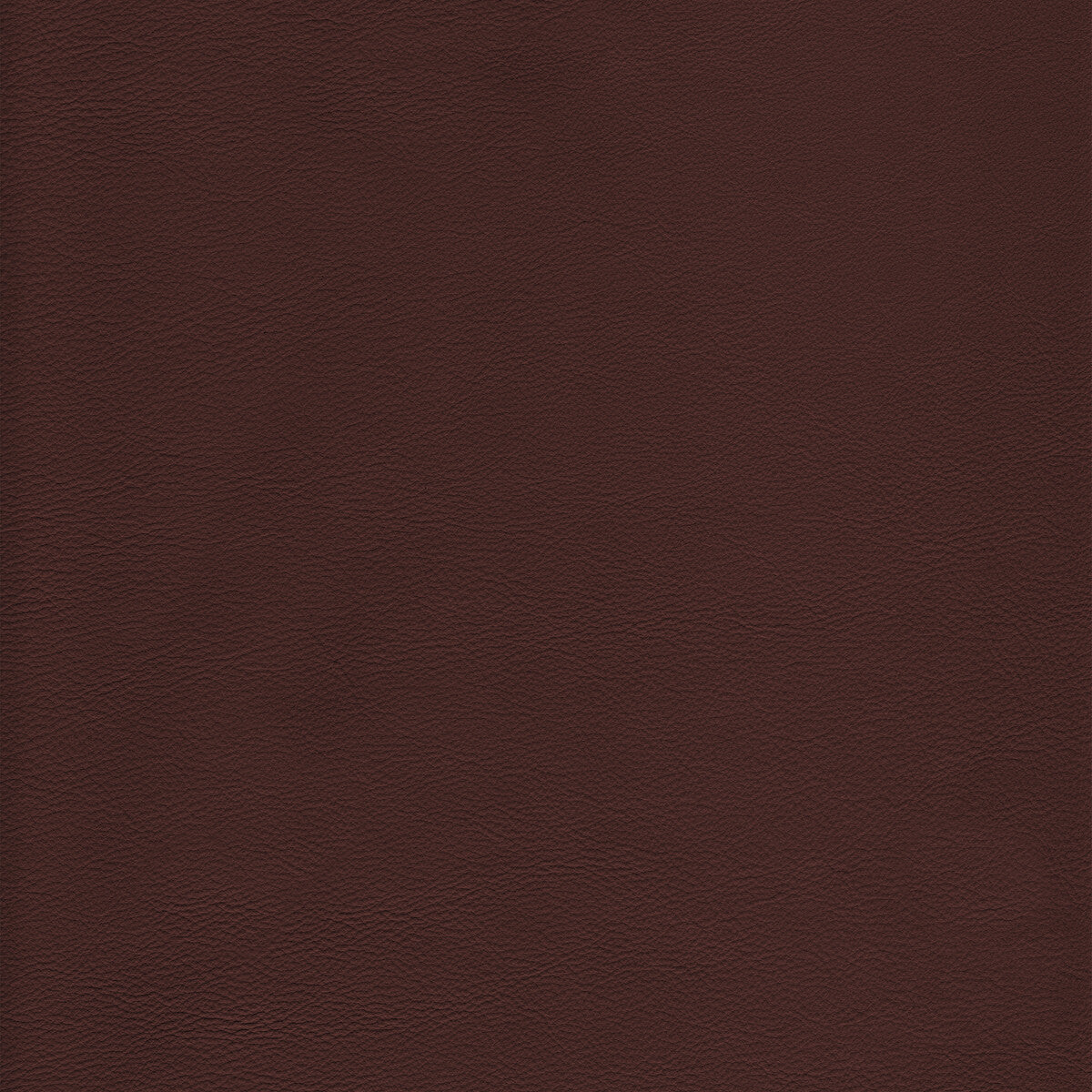 l-howdylatte0-kravet-design-l-howdy-latte-kravet-design