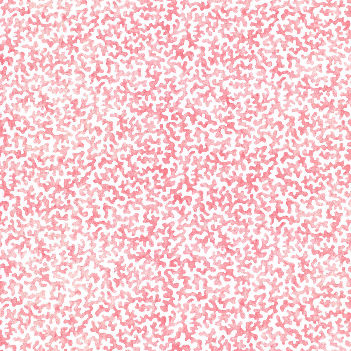 coralcoast7070-coralcoast-petal-kravet-basics