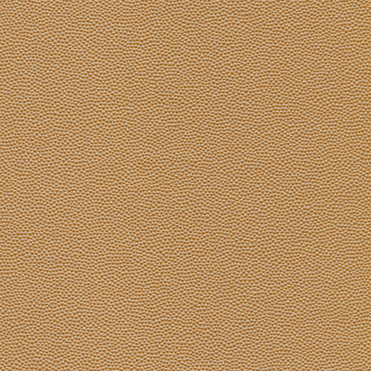 hammer160-kravet-design-hammer-16-kravet-design