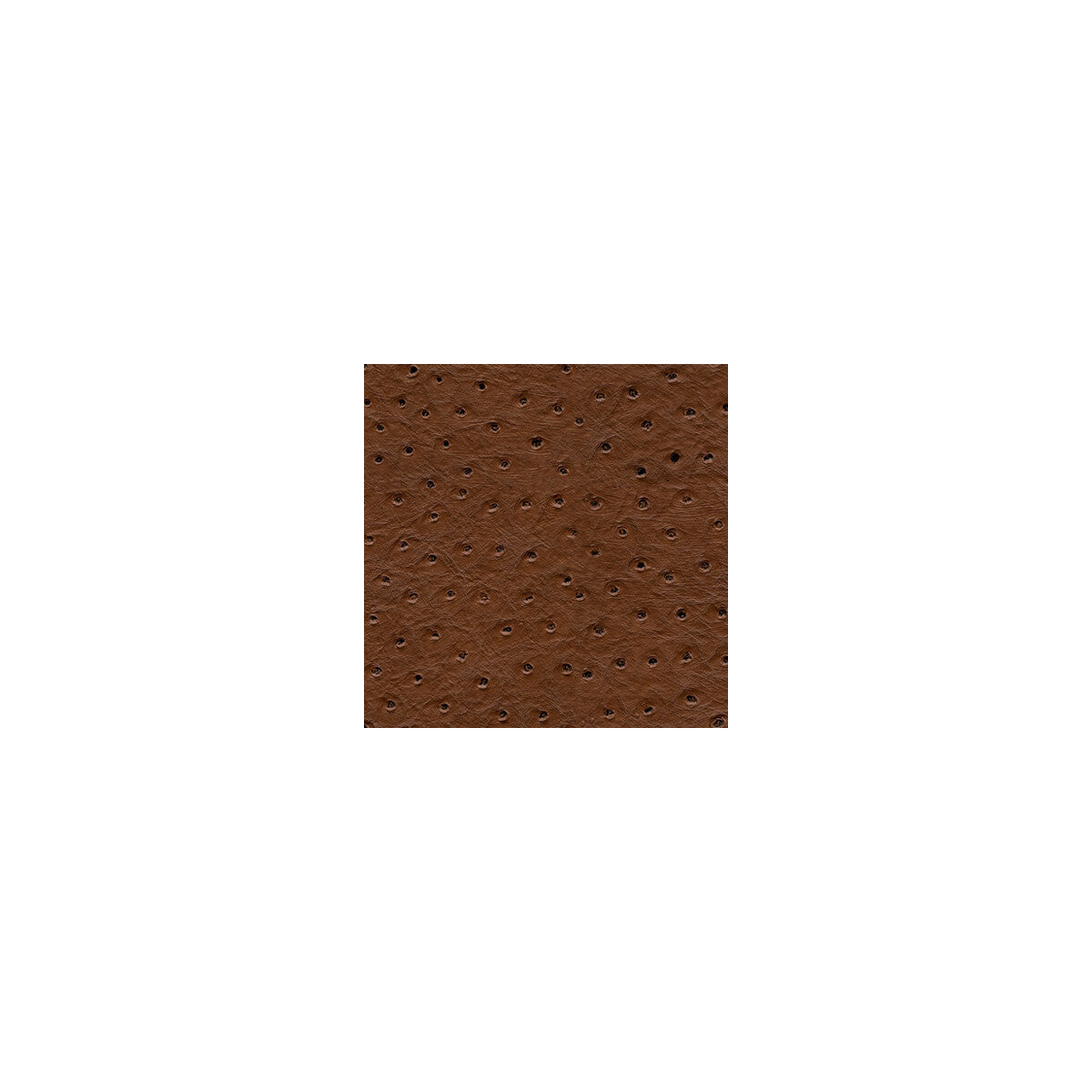 senna60-kravet-design-senna-6-kravet-design