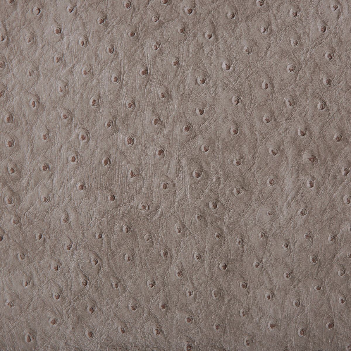senna110-kravet-design-senna-11-kravet-design