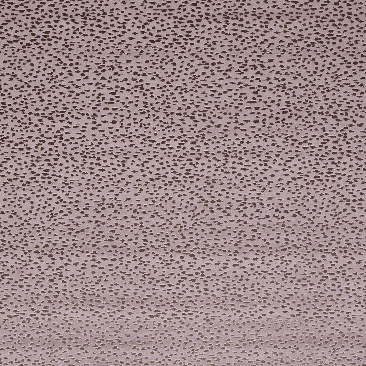 f156403cac0-astral-heather-clarke-and-clarke