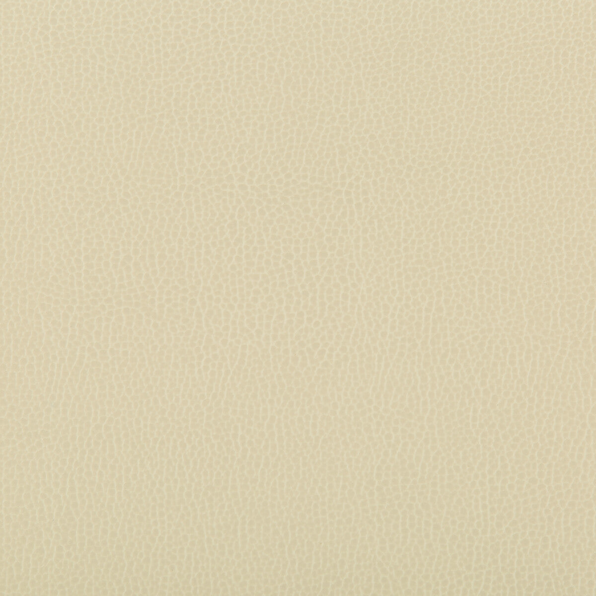 lenox1160-lenox-papyrus-kravet-contract