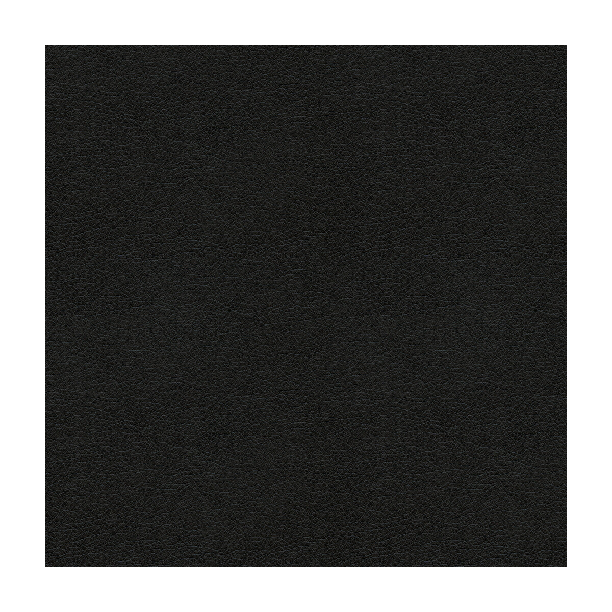 alina80-kravet-smart-alina-8-kravet-smart