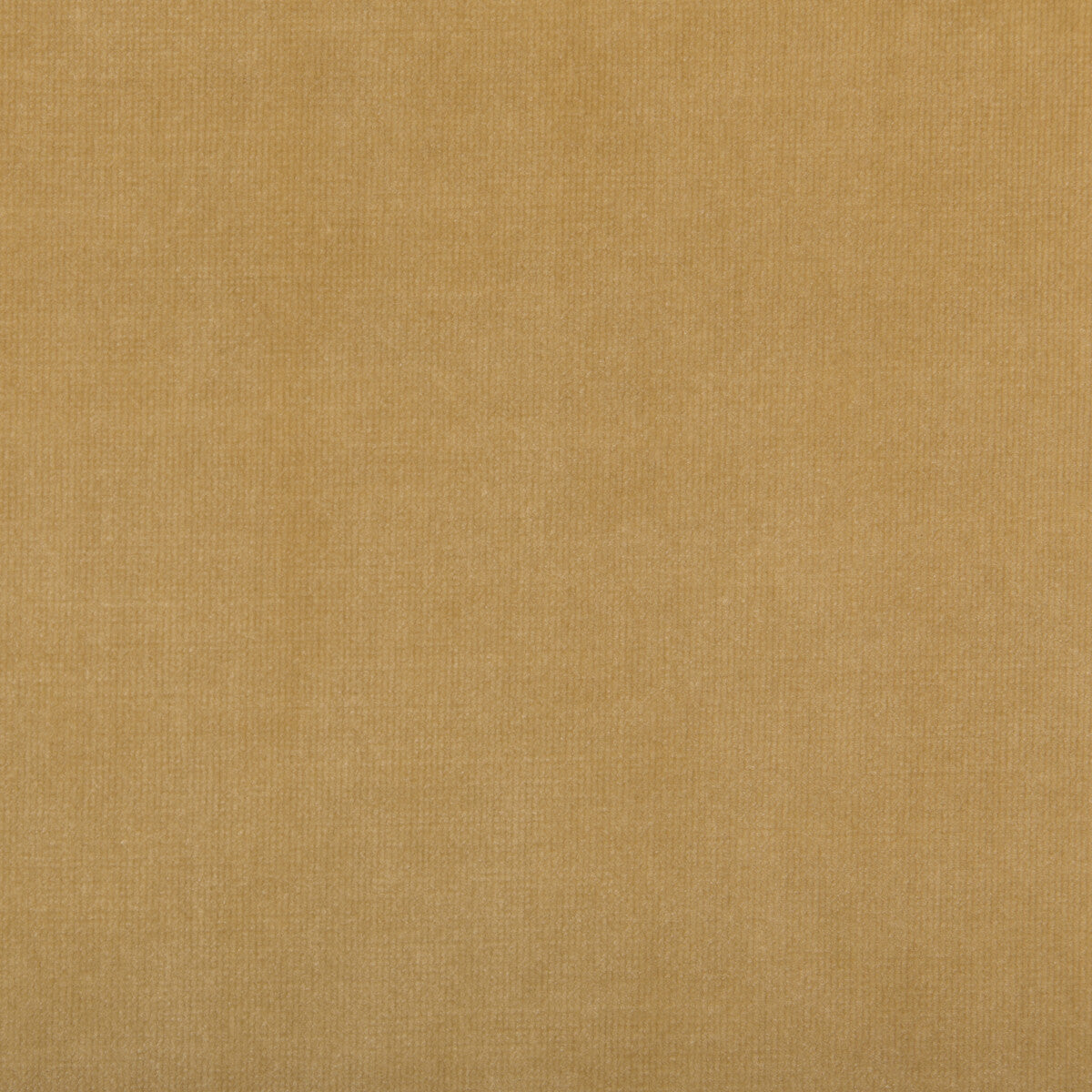 35364160-calmative-camel-kravet-design