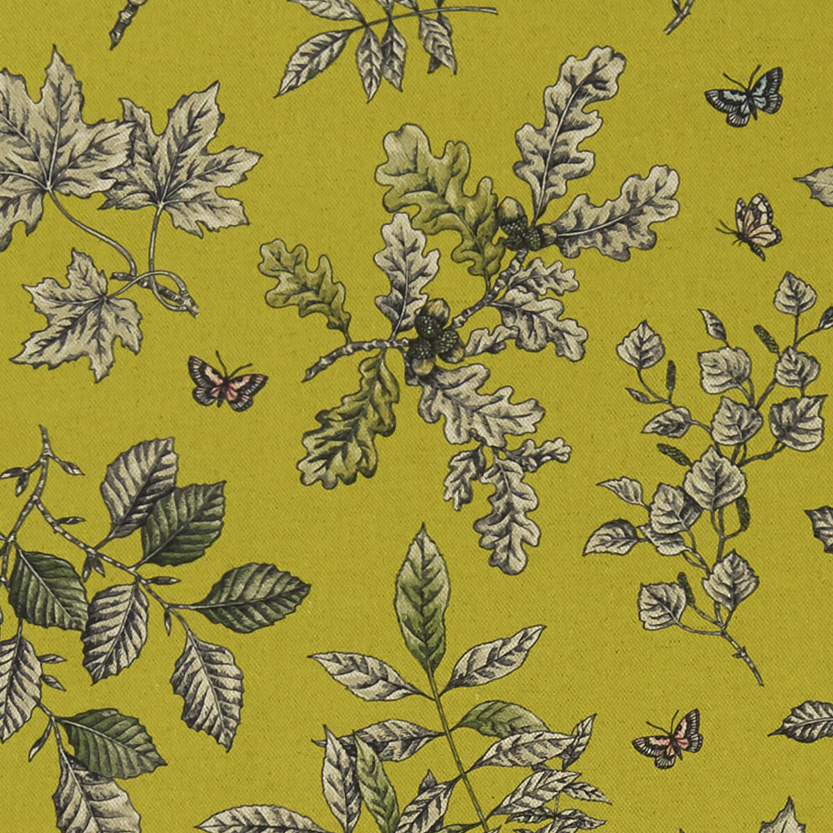 f132903cac0-hortus-chartreuse-clarke-and-clarke