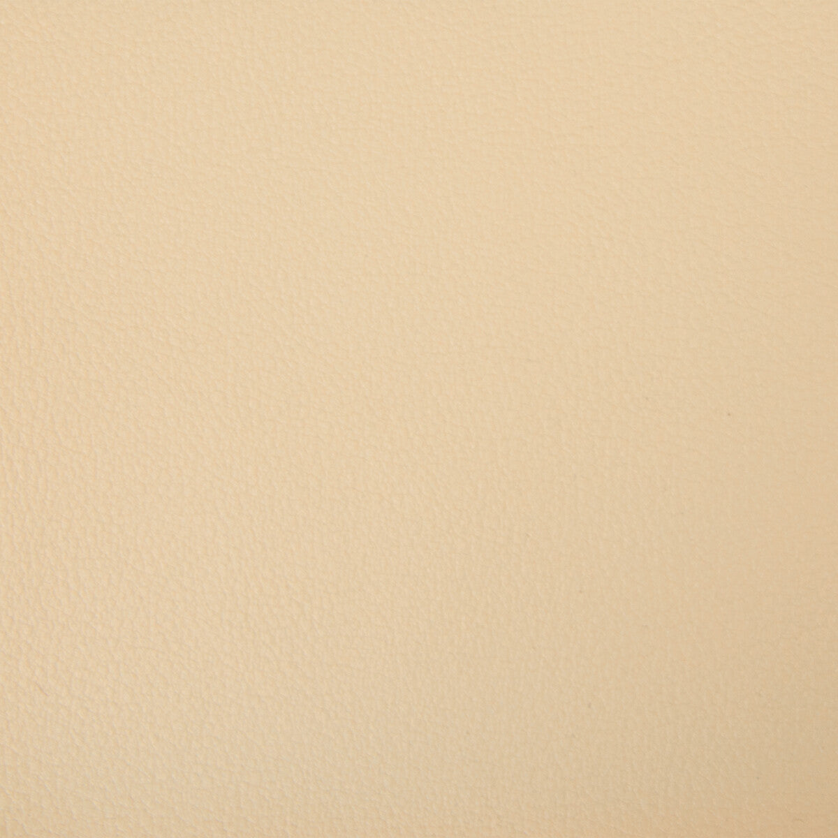 newt160-kravet-smart-newt-16-kravet-smart