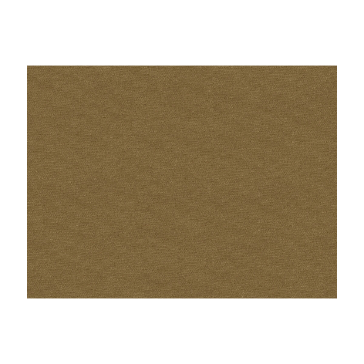 br-897798120-lubeck-cotton-velvet-fawn-brunschwig-fils - BRUNSCHWIG & FILS Fabric