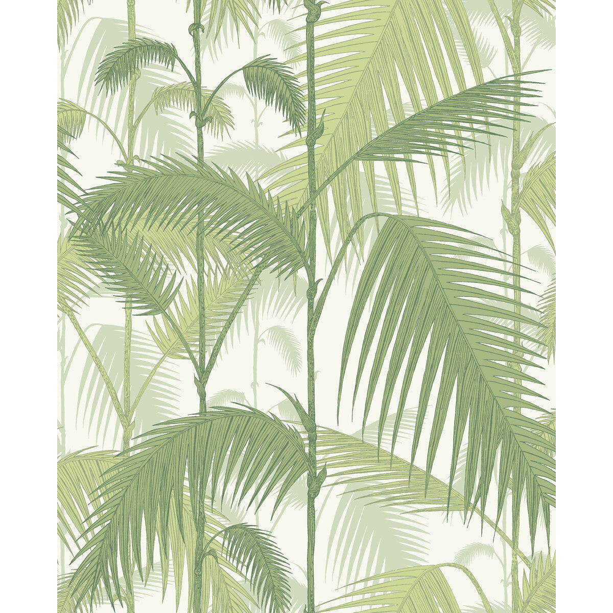 951001cs0-palm-jungle-olive-grewhite-cole-son - COLE & SON Wallpaper