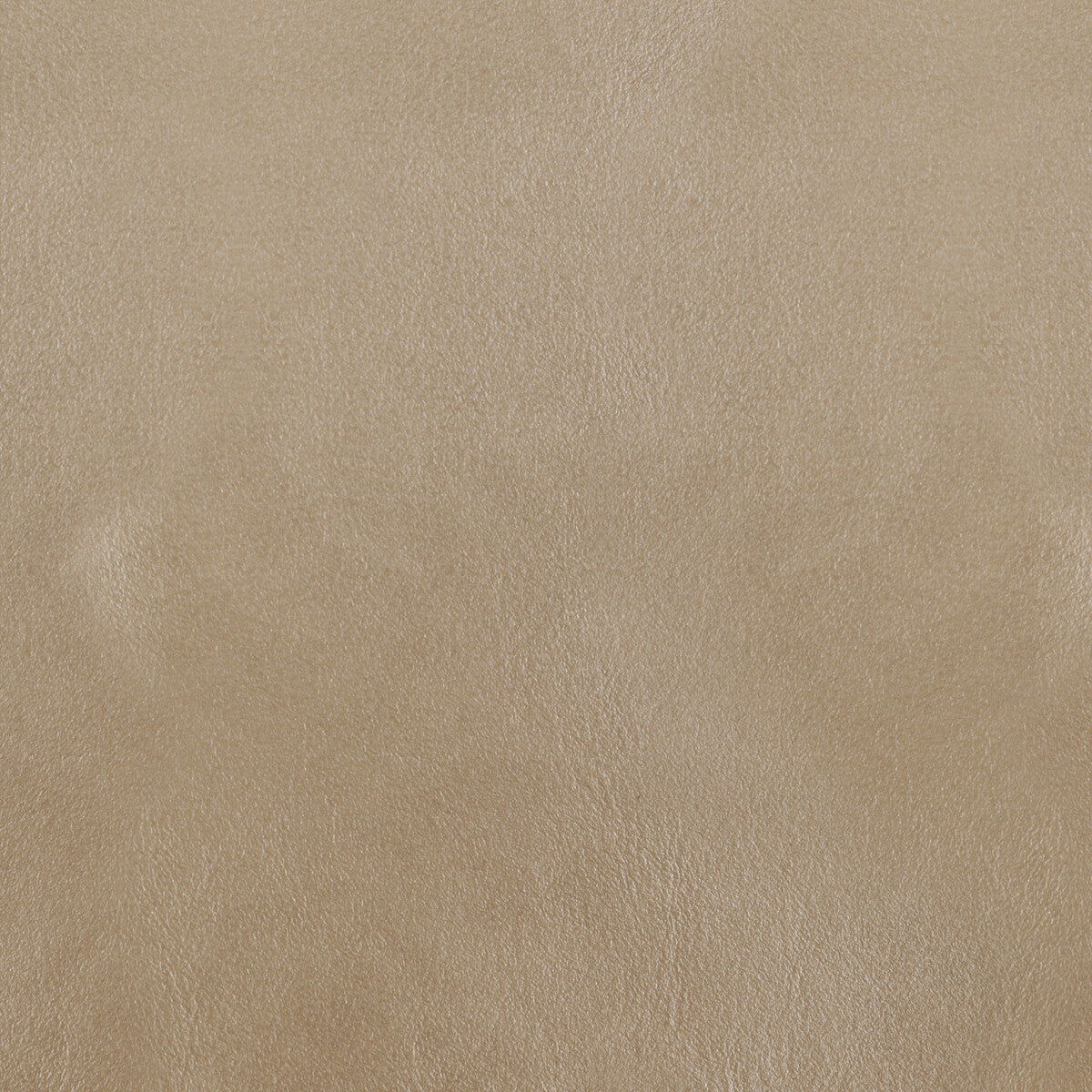 l-botamica0-kravet-design-l-bota-mica-kravet-design