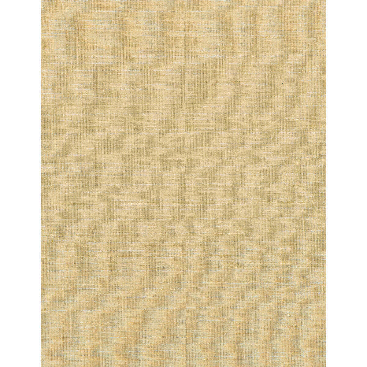 wdw2228wt0-tannin-matka-winfield-thybony - WINFIELD THYBONY Wallpaper