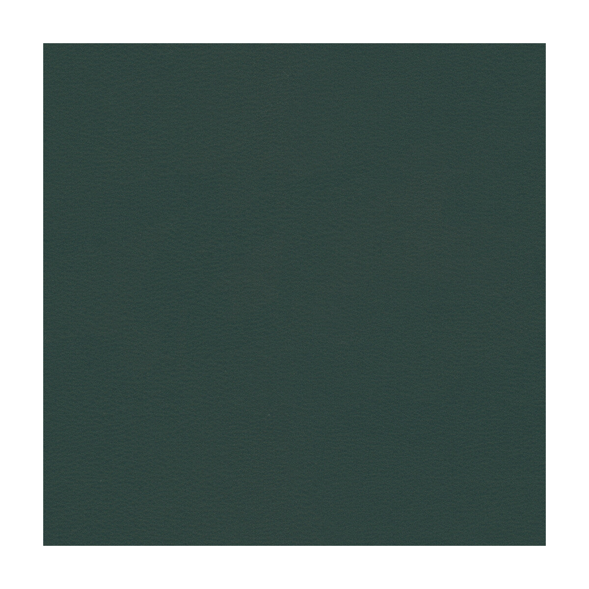 newt50-kravet-smart-newt-5-kravet-smart