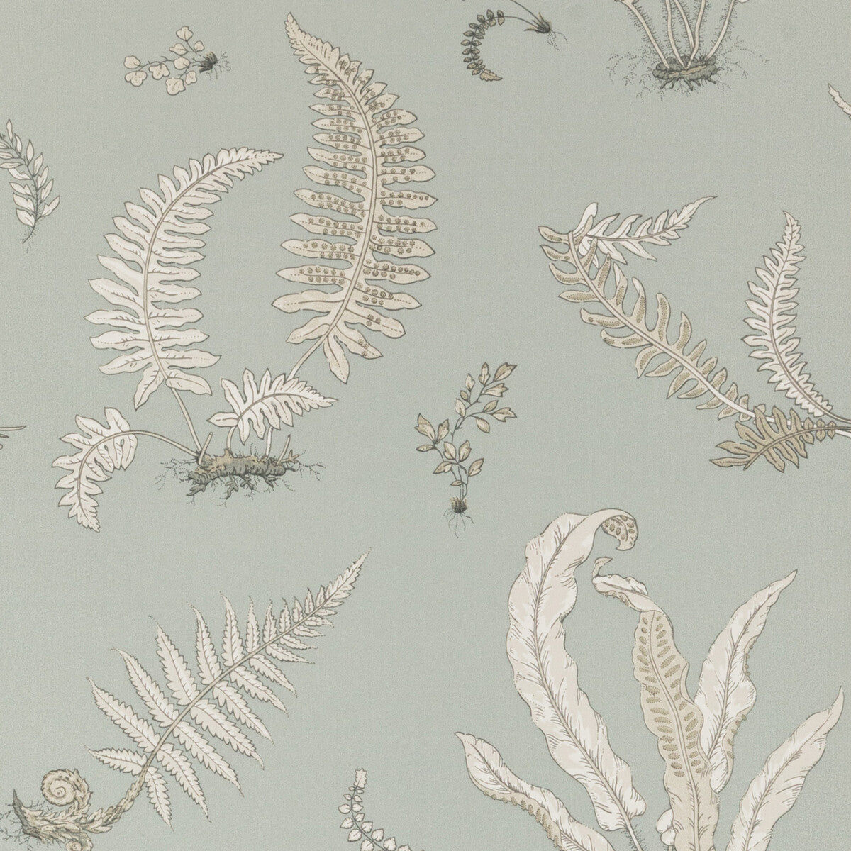 bw4504470-ferns-soft-blue-g-p-j-baker - G P & J BAKER Wallpaper