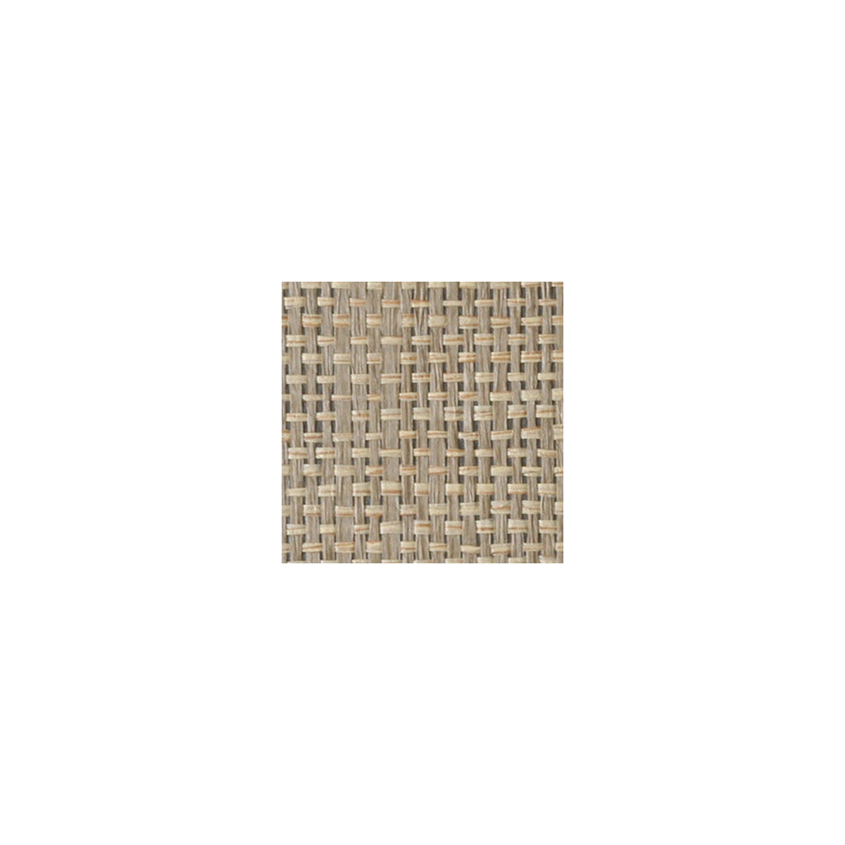 woc2432wt0-paperweave-none-winfield-thybony - WINFIELD THYBONY Wallpaper
