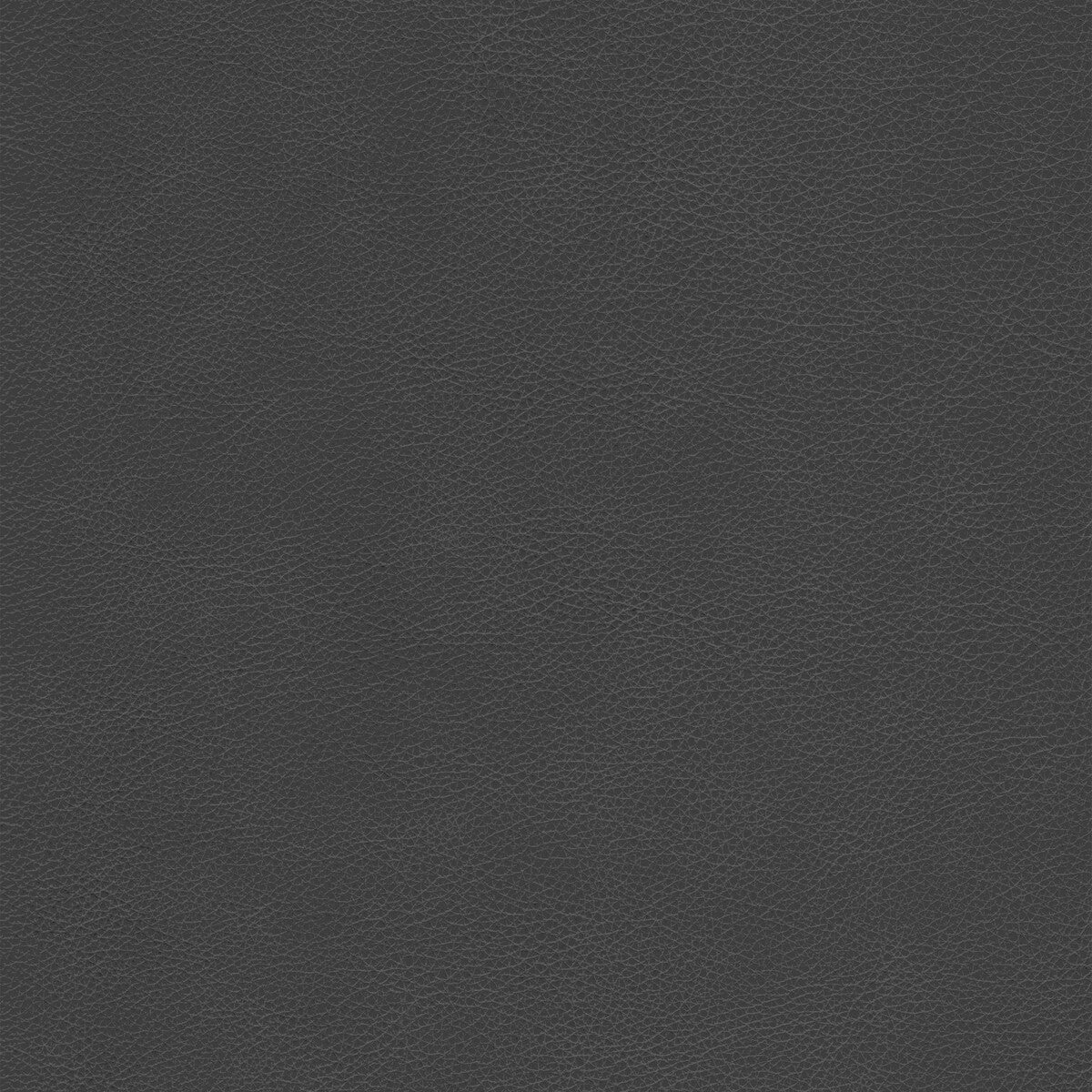 l-cimarroncharcoal0-kravet-design-l-cimarron-charcoal-kravet-design