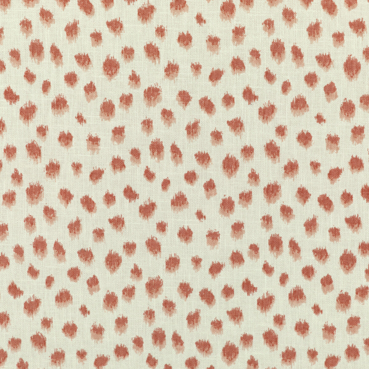 jungleikat190-kravet-basics-jungleikat-19