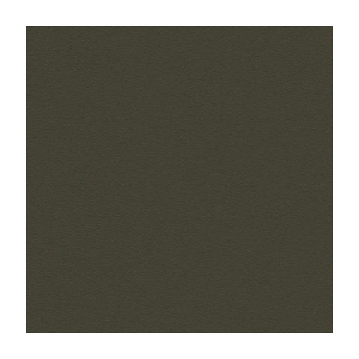 newt210-kravet-smart-newt-21-kravet-smart