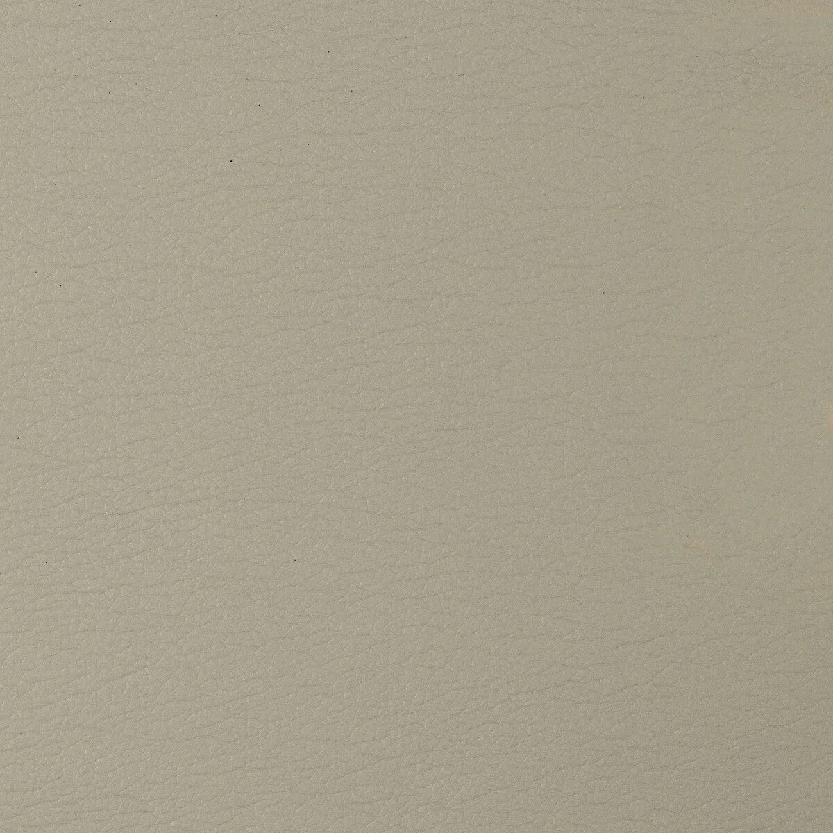 gato1060-kravet-design-gato-106-kravet-design
