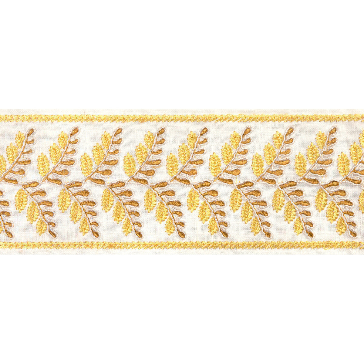 t8024100400-fougere-border-canary-brunschwig-fils - BRUNSCHWIG & FILS Trim