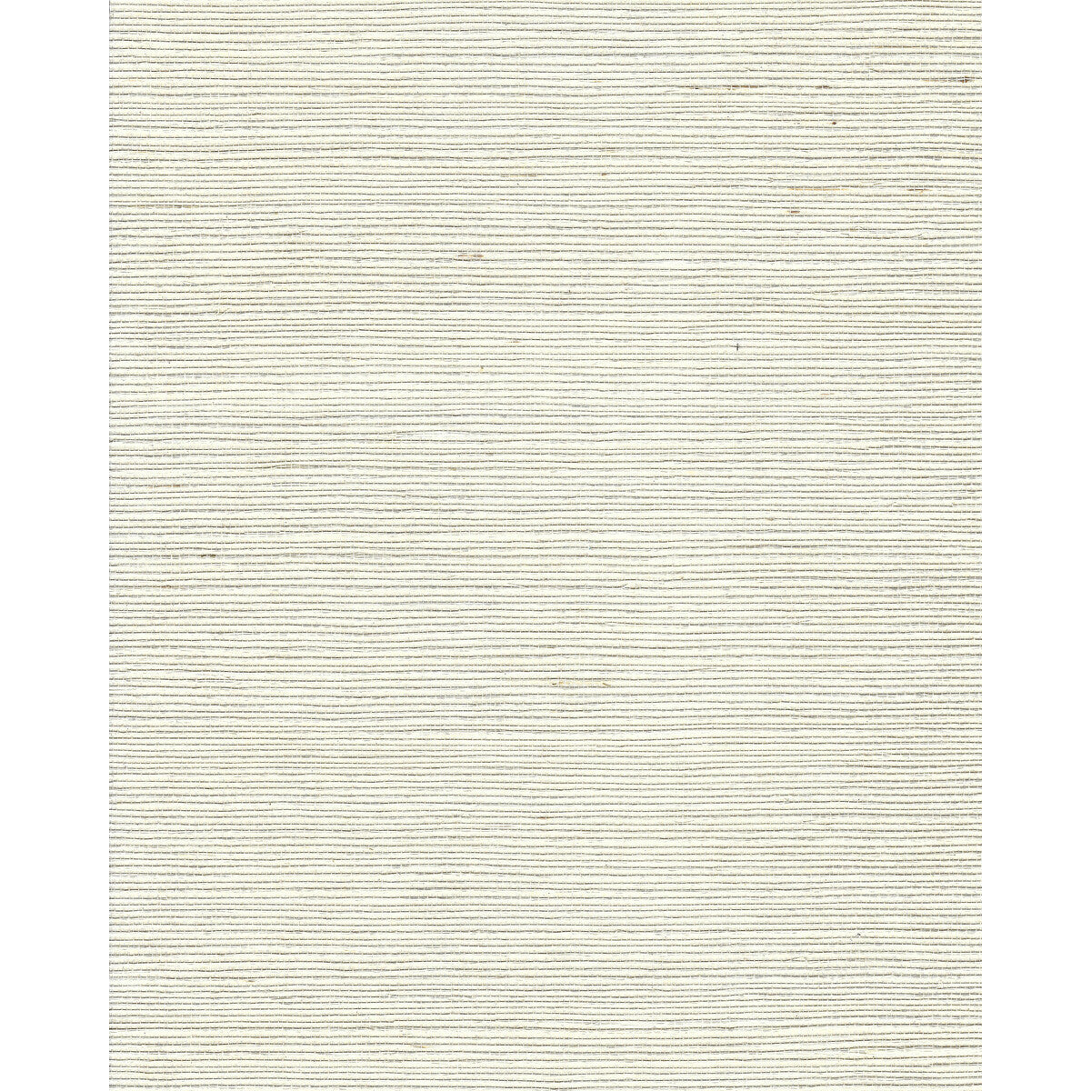 wnr2078wt0-chiyo-sisal-cream-winfield-thybony - WINFIELD THYBONY Wallpaper
