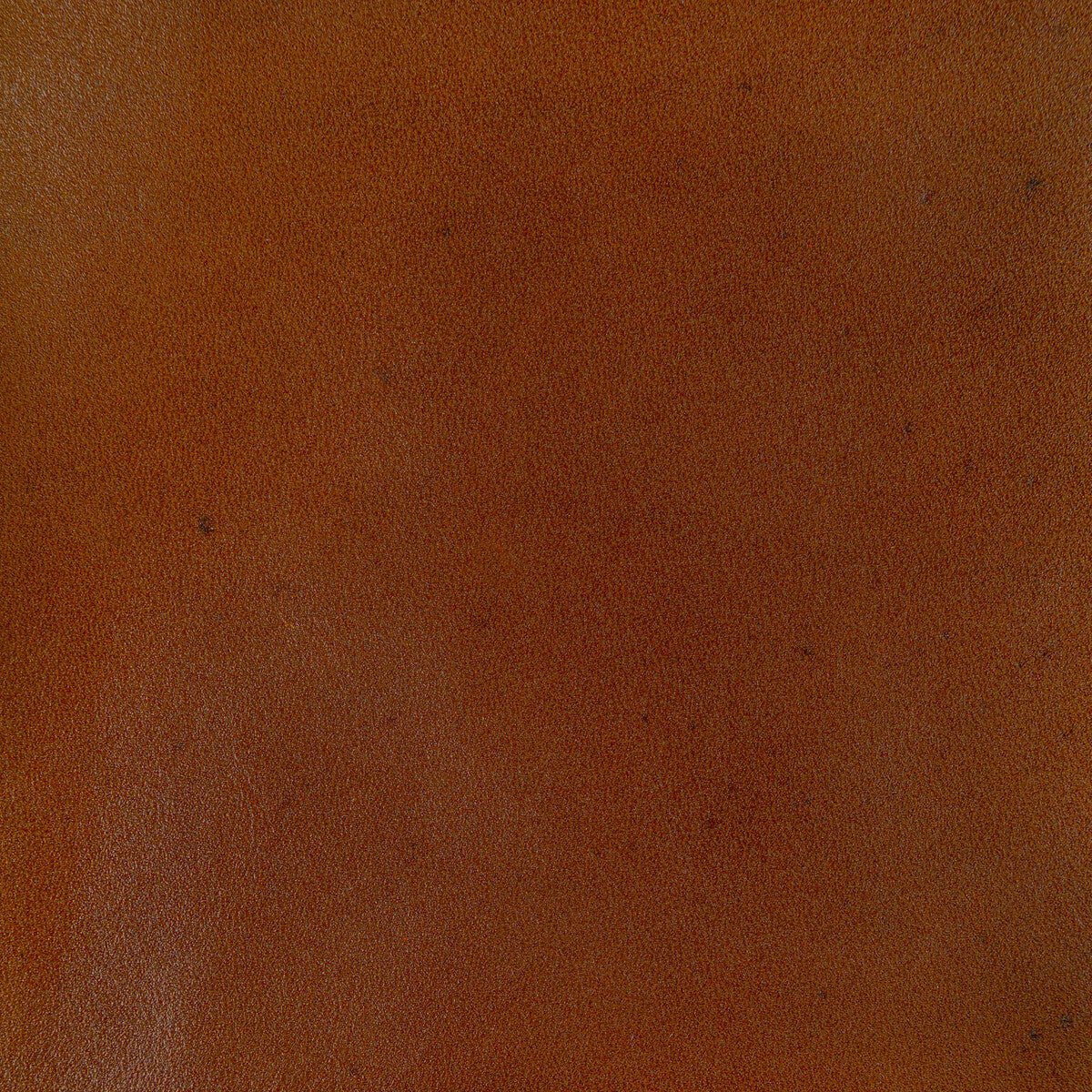 l-adobeochre0-kravet-design-l-adobe-ochre-kravet-design
