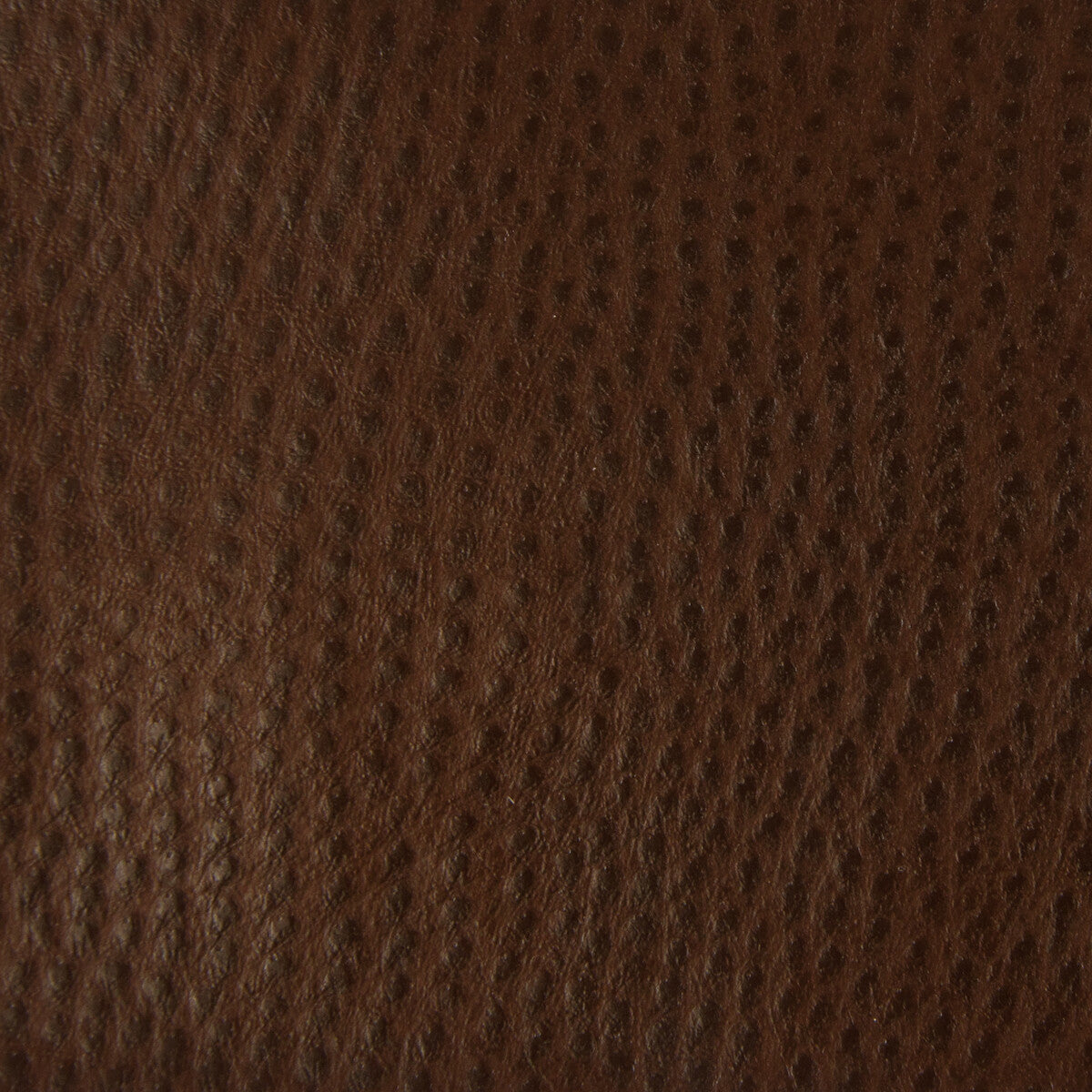 ossy60-kravet-smart-ossy-6-kravet-smart