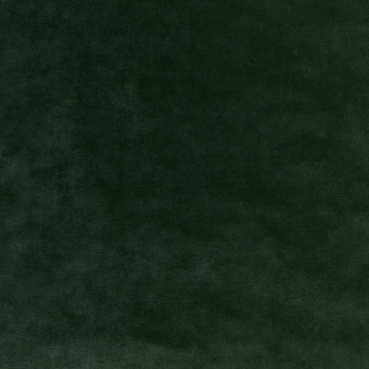 36064300-regal-velvet-sage-kravet-couture - KRAVET COUTURE Fabric