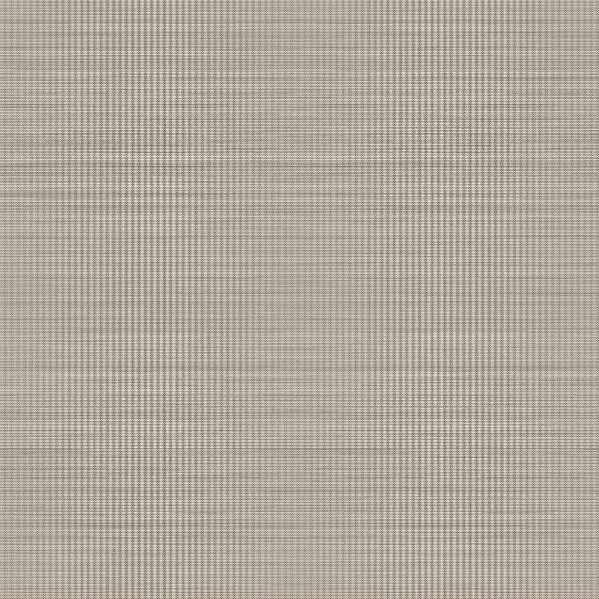 whf3905wt0-salana-dove-winfield-thybony - WINFIELD THYBONY Wallpaper