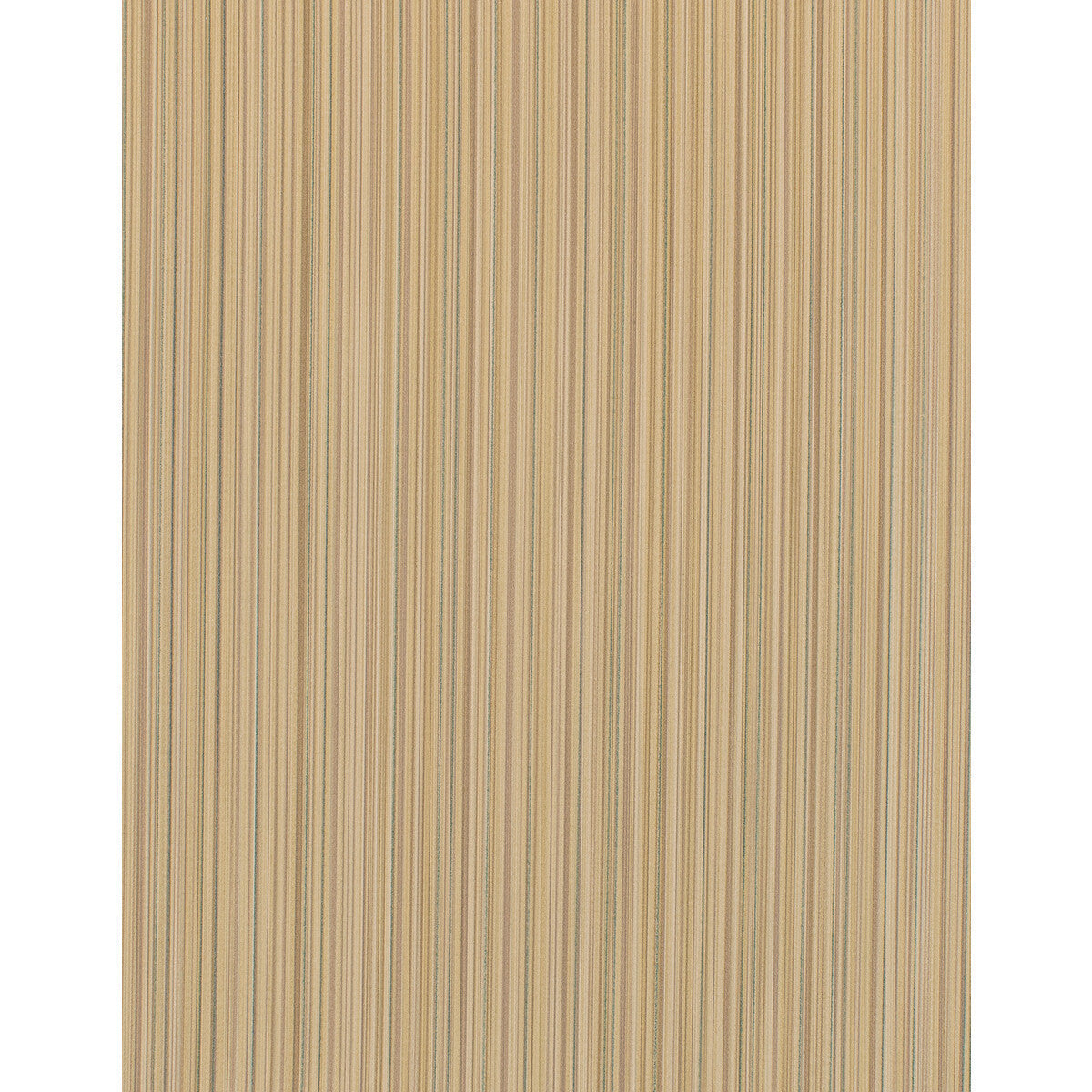 wdw2211wt0-bengal-buttercup-winfield-thybony - WINFIELD THYBONY Wallpaper