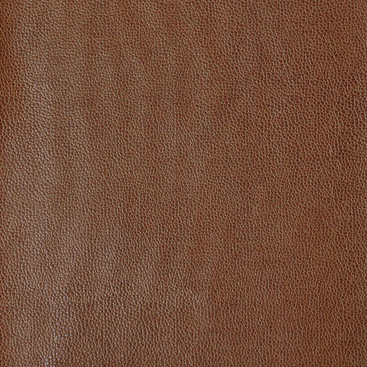 sparta6160-kravet-design-sparta-616-kravet-design
