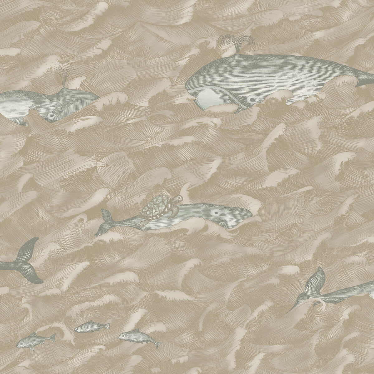 1031002cs0-melville-pearl-cole-son