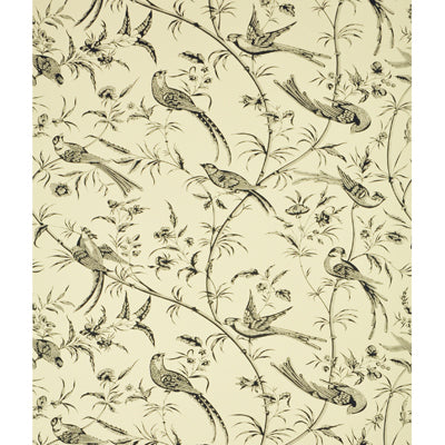 br-691359700-bengali-black-brunschwig-fils - BRUNSCHWIG & FILS Wallpaper