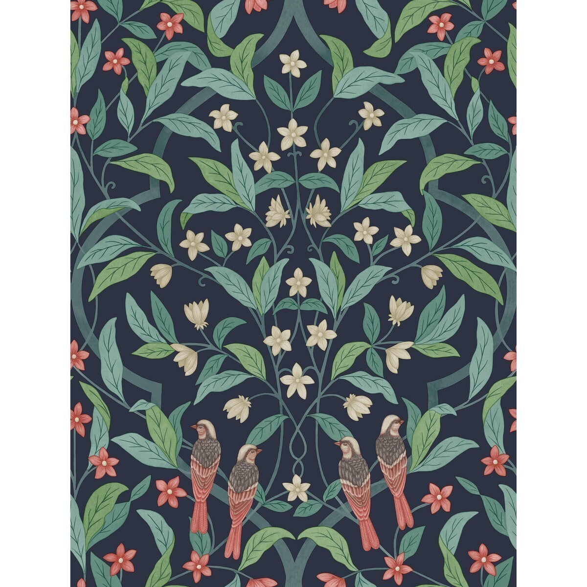 11710030cs0-jasmine-serin-symphony-coralpetrolink-cole-son