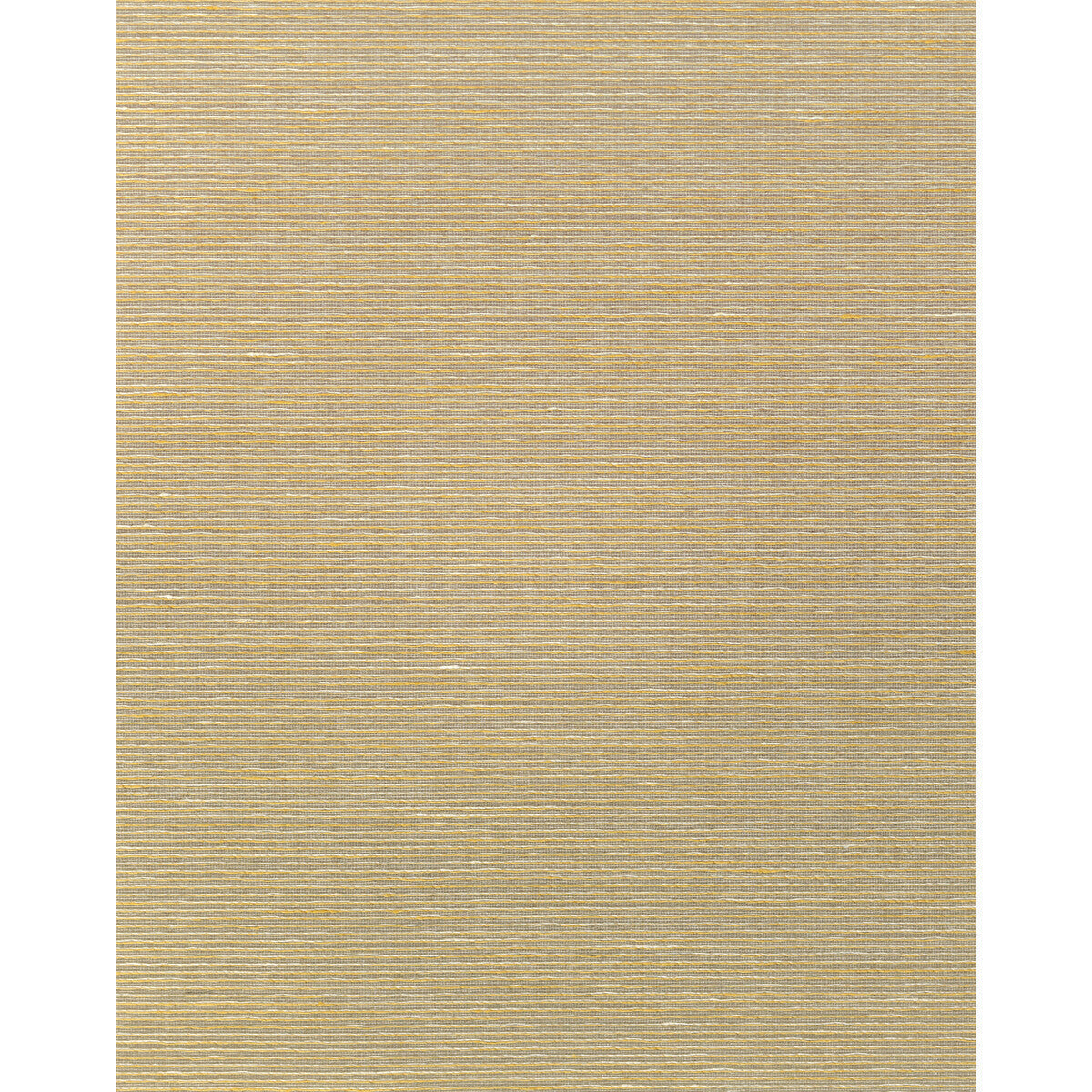 wns5578wt0-althea-plain-raffia-winfield-thybony - WINFIELD THYBONY Wallpaper