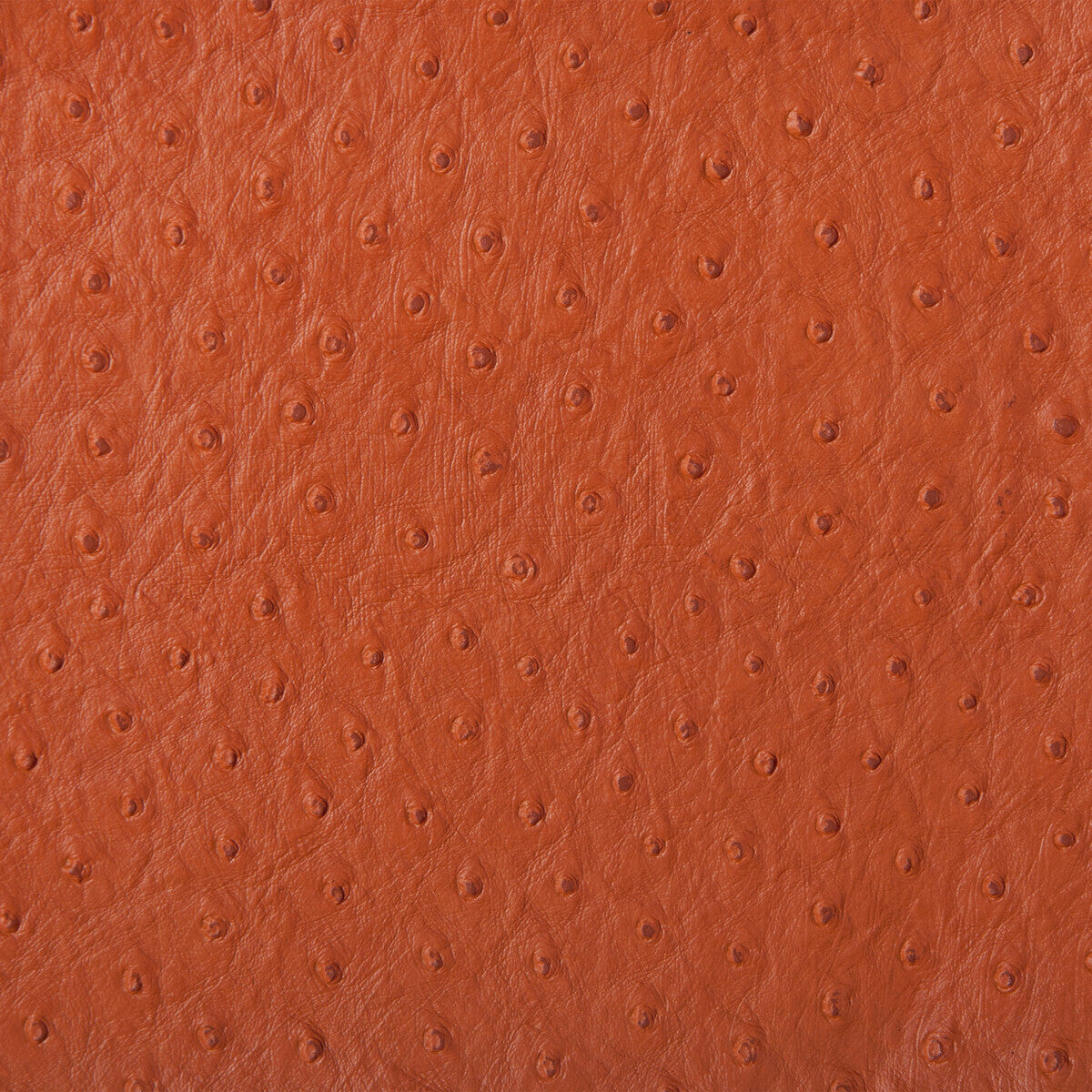 senna1240-kravet-design-senna-124-kravet-design
